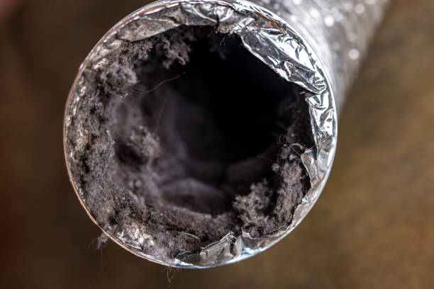 Best HVAC Duct Inspection Services  in Dunmore, PA