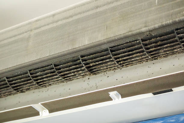Best Air Vent Cleaning Services  in Dunmore, PA